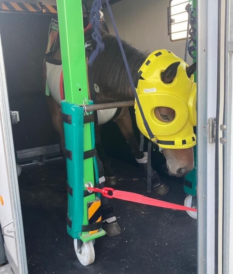 Ambulance pour chevaux - Interview du Dr Martin GENTON